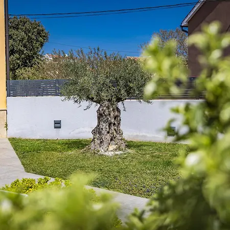 Tramontana Near Pula For 6 Persons With 30m2 Private Pool